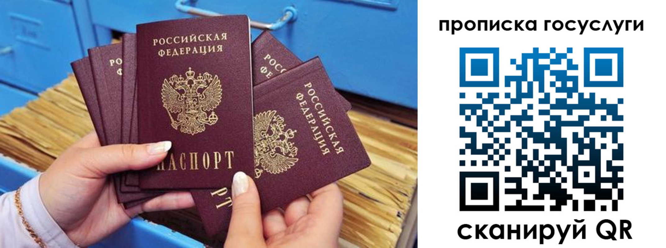 прописка поиск в Красноярске